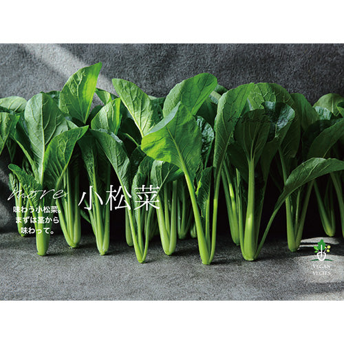 【10】ならはら菜園 旬の野菜おまかせセット(4種8パック程度)